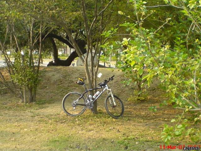 我的CARBON登山卡打車(wcs登山車彎把...第10頁)