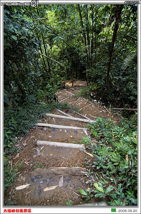 南投竹山梯子吊橋