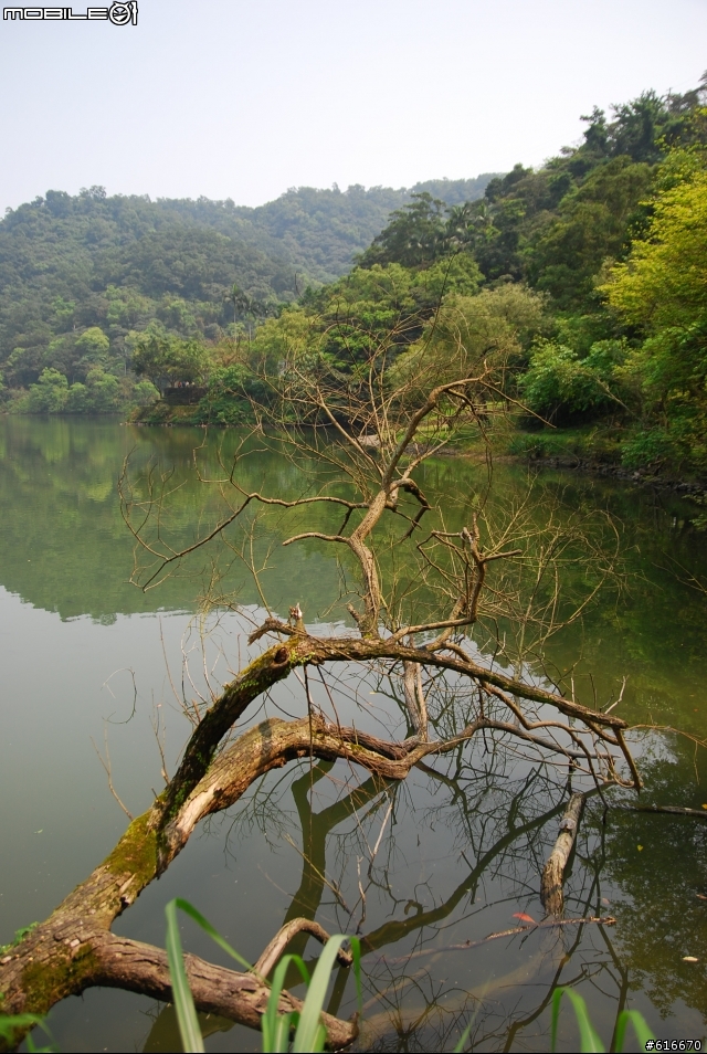 梅花湖