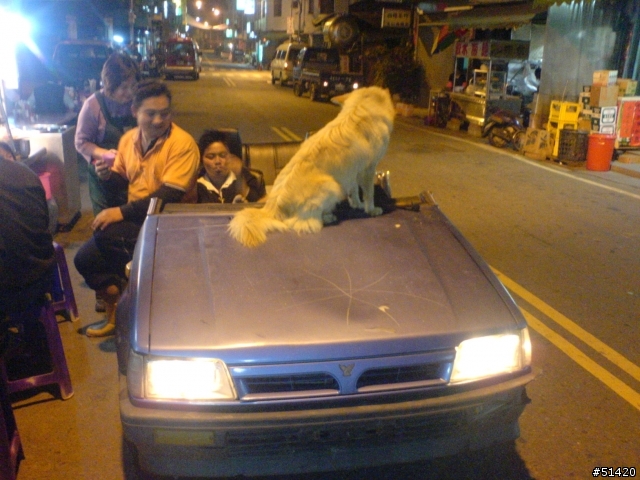 全台唯一的未來式敝蓬車.....