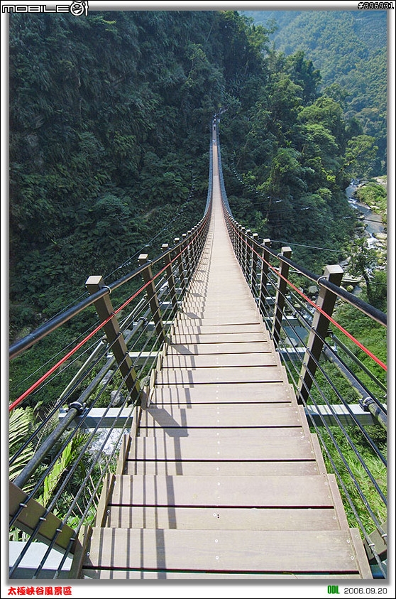 南投竹山梯子吊橋
