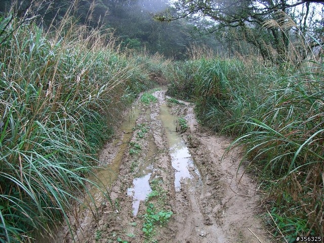 [分享]MTB越野入門路線-台北~宜蘭之桶后林道
