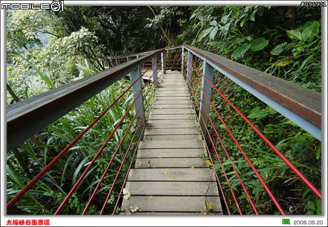 南投竹山梯子吊橋