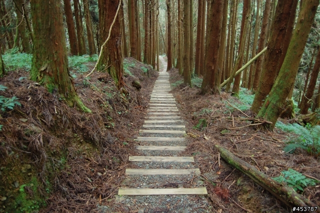 趕走懶骨頭的好所在~特富野古道