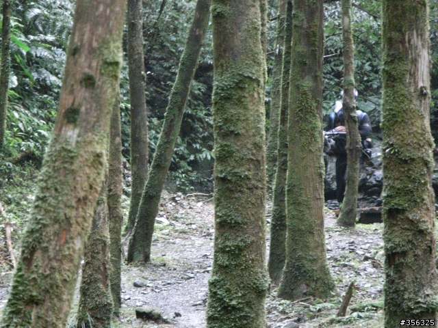 [分享]MTB越野入門路線-台北~宜蘭之桶后林道