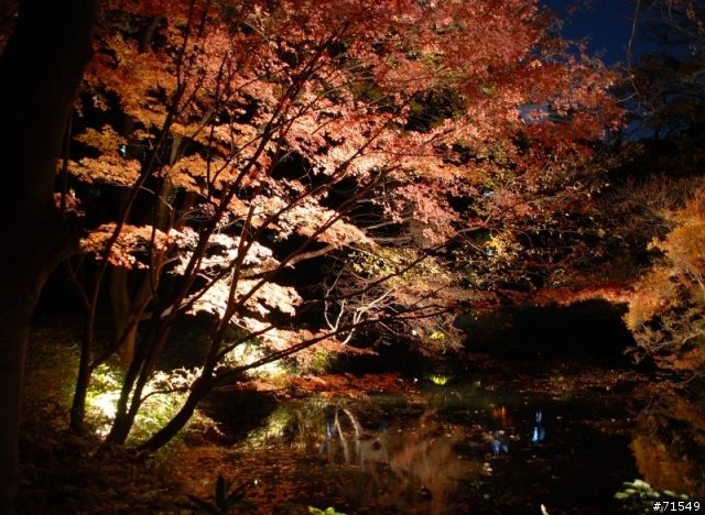 Sigma 18-200mm OS版 3/8 進貨摟~~