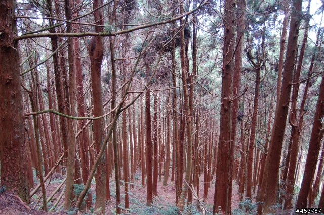 趕走懶骨頭的好所在~特富野古道