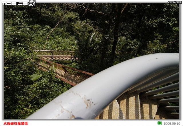 南投竹山梯子吊橋