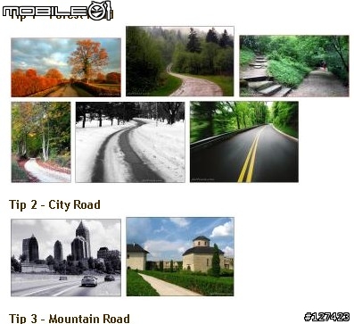 如何拍攝路