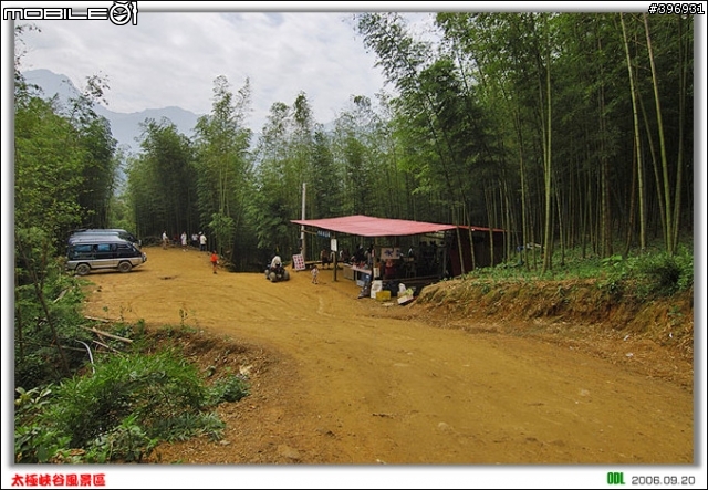 南投竹山梯子吊橋