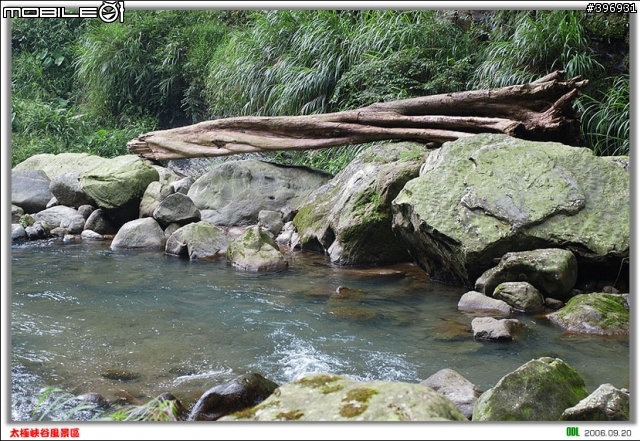 南投竹山梯子吊橋