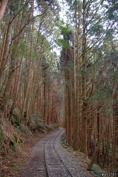 趕走懶骨頭的好所在~特富野古道