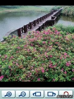 [分享]陽明花語帶你去賞花