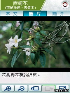 [分享]陽明花語帶你去賞花