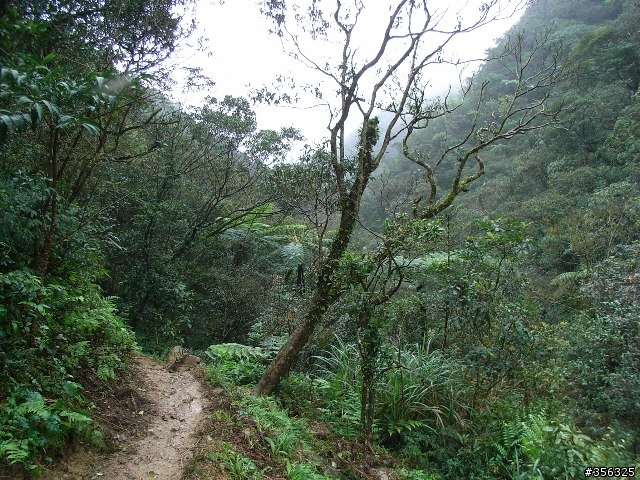 [分享]MTB越野入門路線-台北~宜蘭之桶后林道