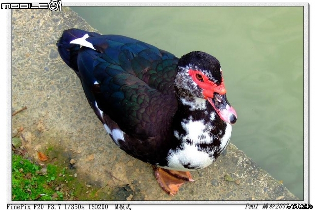 Fujifilm F20入手試拍