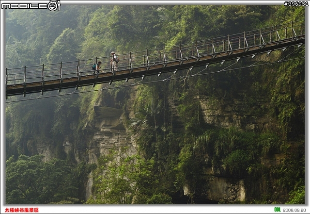 南投竹山梯子吊橋