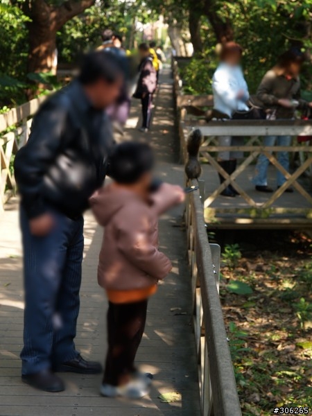 到台北植物園不要再餵松鼠了