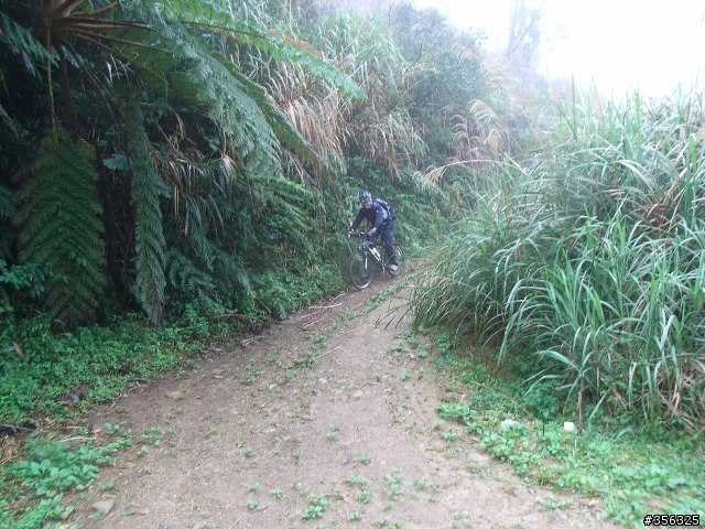 [分享]MTB越野入門路線-台北~宜蘭之桶后林道