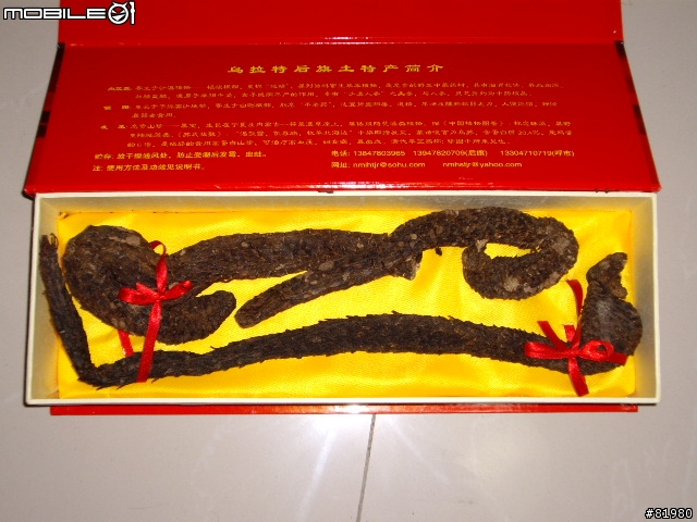 蒙古沙漠裡的好物"沙漠人蔘".....又名肉苁蓉