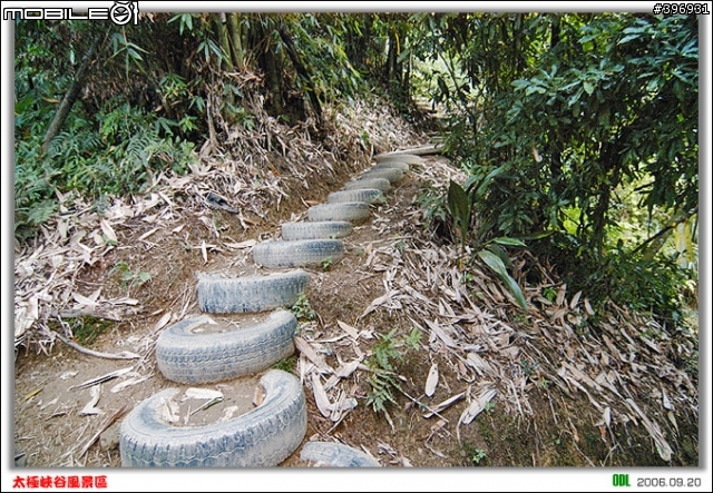 南投竹山梯子吊橋