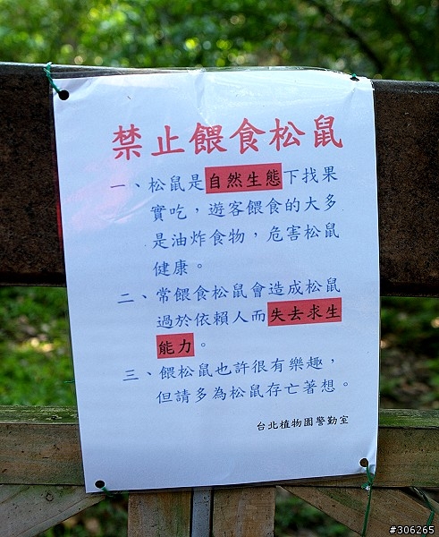 到台北植物園不要再餵松鼠了