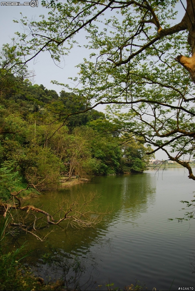 梅花湖