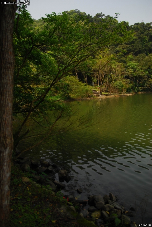 梅花湖
