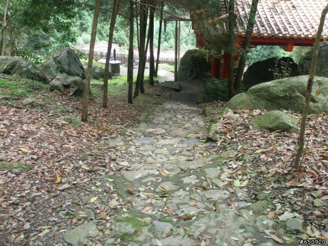 [分享]03.29.八仙山遊記~