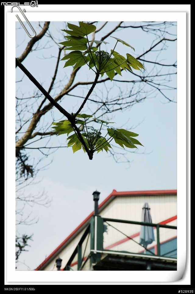 擁有 Nikon AF-S 18-135mm f3.5-5.6 kit 簽到和作品發表