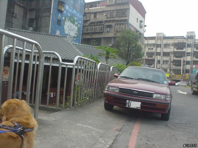 以後我在河濱公園騎車要帶者小相機才行