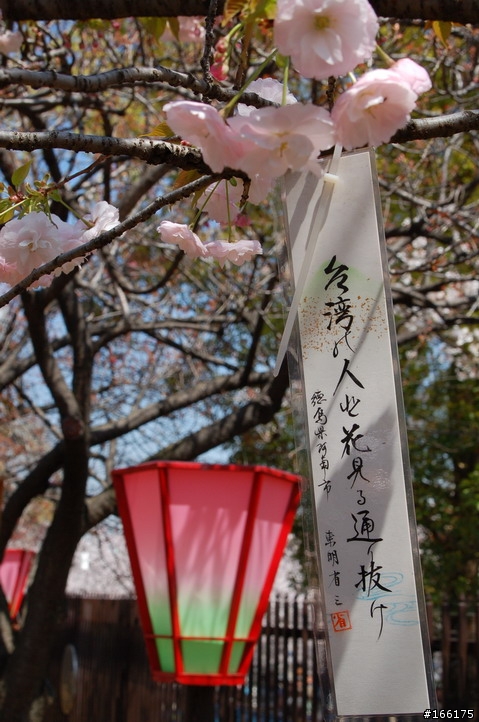 [請問] 這一張圖片上的日文在講什麼呢? (日文高手請進)