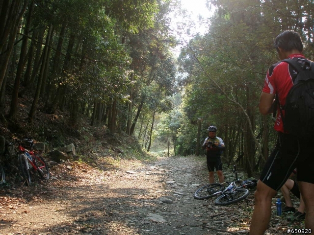 [分享]裡冷林道~(圖多)
