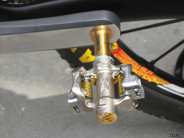 國王低調的華麗VS女王黑美人座騎