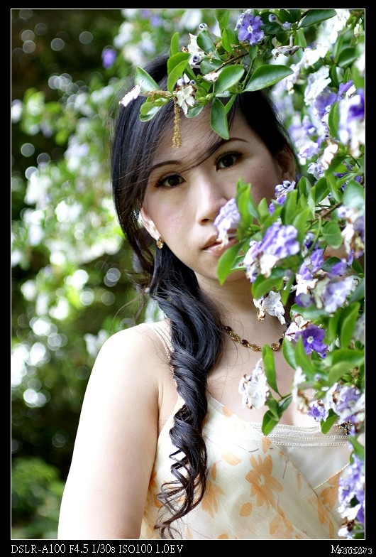 The battle between Zeiss16-80mm & Minolta 70-210mm