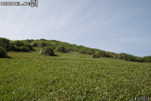 [D80] 擎天崗半日遊