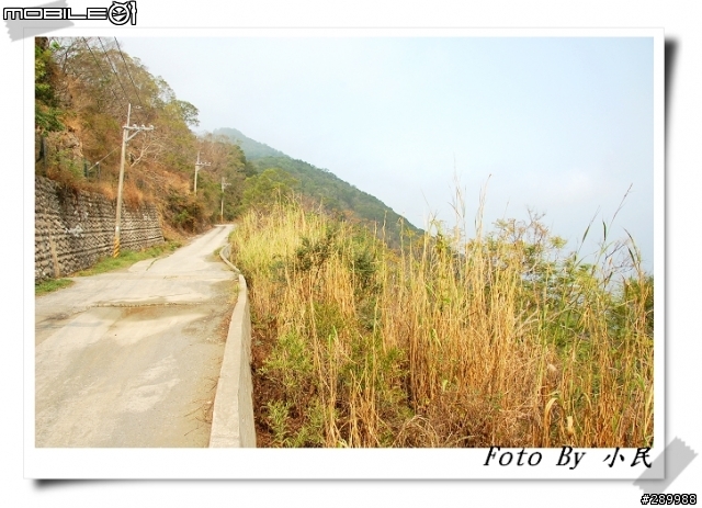 [分享]大漢山林道+浸水營古道