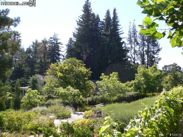 終於從Mobil01出獄了, 小小的抱怨文 (附NAPA酒鄉旅遊)