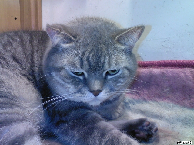 d908 photo test sample