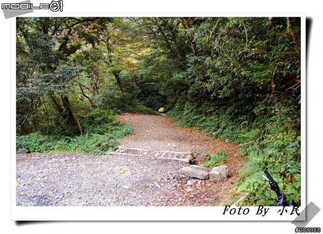 [分享]大漢山林道+浸水營古道