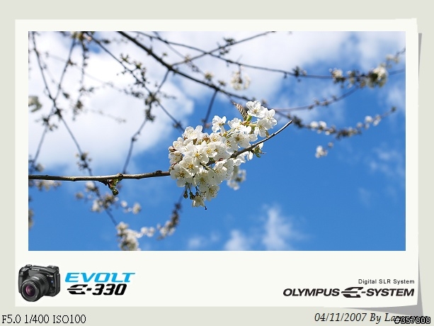 E330+14-54mm 初次入手DSLR