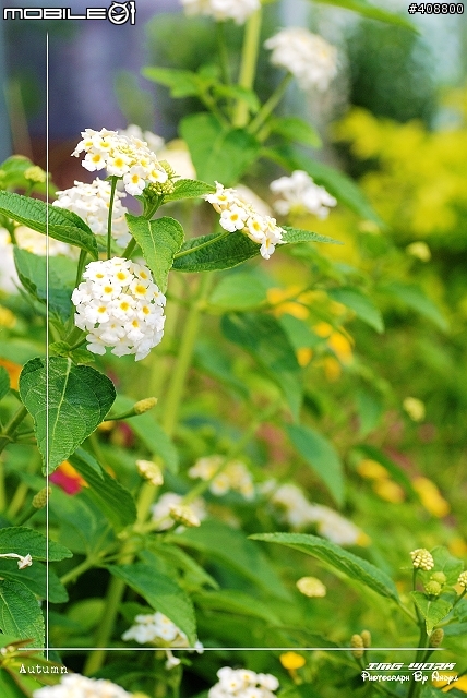 高雄拍妹邀約nikon~28-70mm/2.8~相片分享區4.30更新