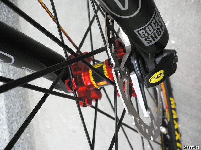 國王低調的華麗VS女王黑美人座騎