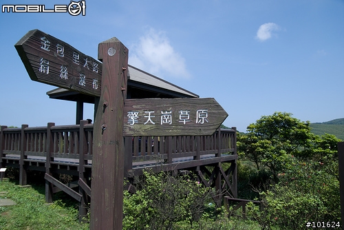 [D80] 擎天崗半日遊