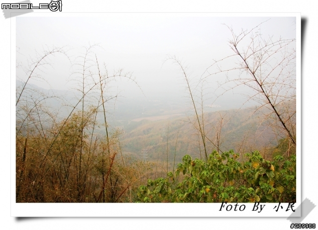 [分享]大漢山林道+浸水營古道