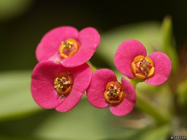 L1遇福倫達125/2.5L的美麗邂逅