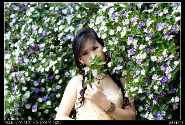 The battle between Zeiss16-80mm & Minolta 70-210mm