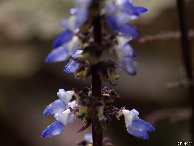 L1遇福倫達125/2.5L的美麗邂逅