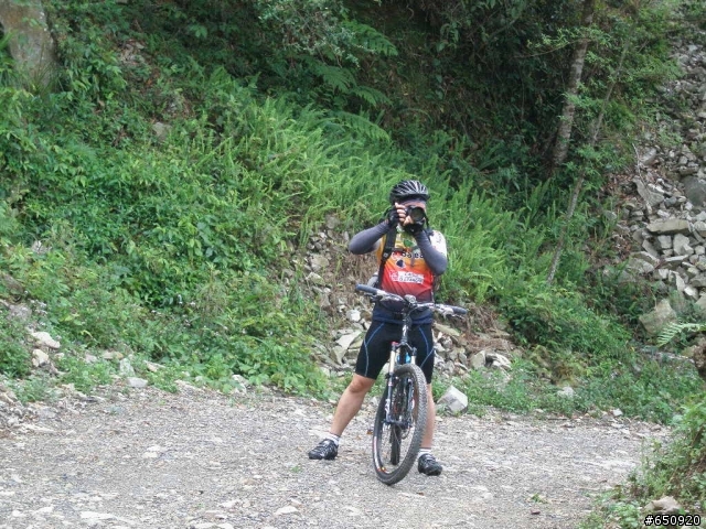 [分享]裡冷林道~(圖多)