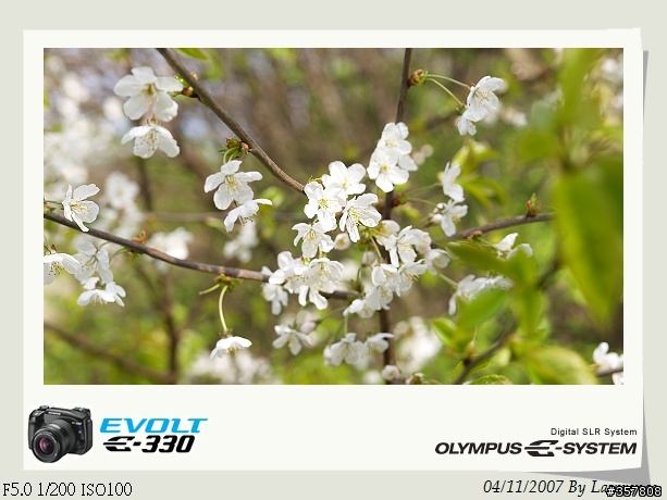E330+14-54mm 初次入手DSLR